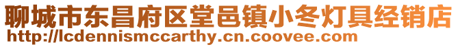 聊城市東昌府區堂邑鎮小冬燈具經銷店