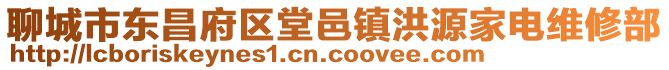 聊城市東昌府區(qū)堂邑鎮(zhèn)洪源家電維修部