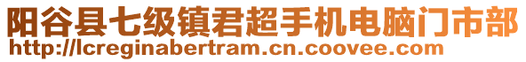 陽谷縣七級鎮君超手機電腦門市部