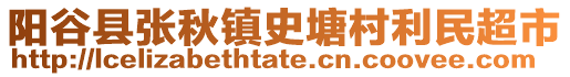 陽谷縣張秋鎮史塘村利民超市