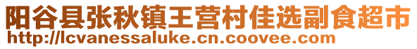 陽谷縣張秋鎮王營村佳選副食超市