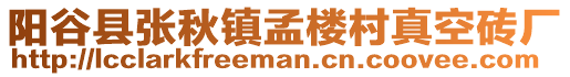 陽(yáng)谷縣張秋鎮(zhèn)孟樓村真空磚廠