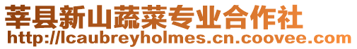 莘縣新山蔬菜專業合作社