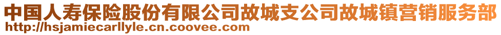 中國人壽保險(xiǎn)股份有限公司故城支公司故城鎮(zhèn)營銷服務(wù)部