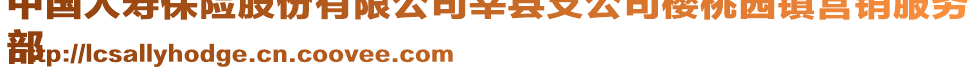 中國(guó)人壽保險(xiǎn)股份有限公司莘縣支公司櫻桃園鎮(zhèn)營(yíng)銷(xiāo)服務(wù)
部