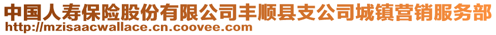 中国人寿保险股份有限公司丰顺县支公司城镇营销服务部