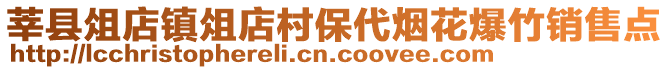 莘縣俎店鎮(zhèn)俎店村保代煙花爆竹銷售點