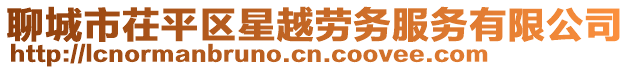 聊城市茌平區星越勞務服務有限公司