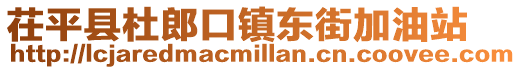 茌平縣杜郎口鎮東街加油站