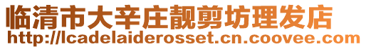 臨清市大辛莊靚剪坊理發店