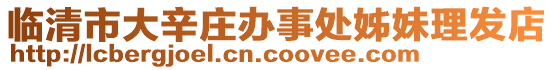臨清市大辛莊辦事處姊妹理發店