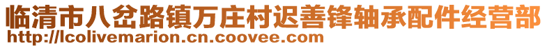 臨清市八岔路鎮(zhèn)萬莊村遲善鋒軸承配件經(jīng)營部