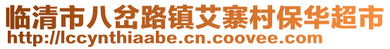 臨清市八岔路鎮(zhèn)艾寨村保華超市