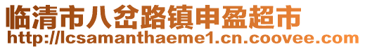 臨清市八岔路鎮(zhèn)申盈超市