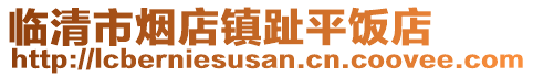 臨清市煙店鎮(zhèn)趾平飯店