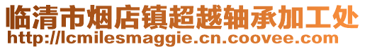 臨清市煙店鎮超越軸承加工處