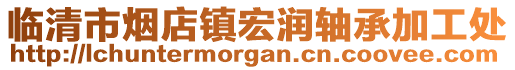 临清市烟店镇宏润轴承加工处