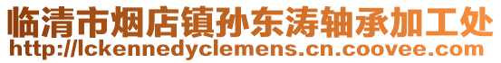 临清市烟店镇孙东涛轴承加工处