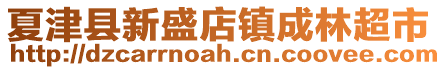 夏津县新盛店镇成林超市