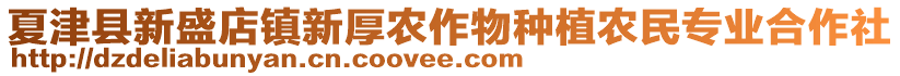 夏津縣新盛店鎮新厚農作物種植農民專業合作社