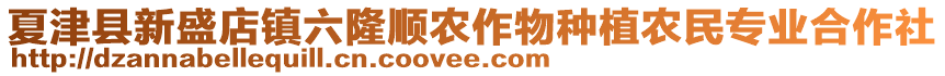 夏津縣新盛店鎮六隆順農作物種植農民專業合作社