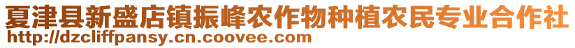 夏津县新盛店镇振峰农作物种植农民专业合作社