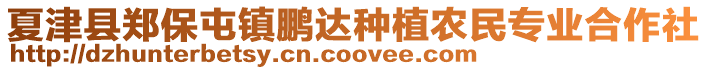 夏津縣鄭保屯鎮鵬達種植農民專業合作社