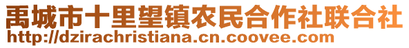 禹城市十里望鎮農民合作社聯合社
