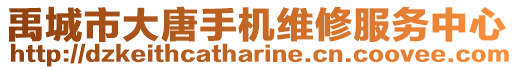 禹城市大唐手機(jī)維修服務(wù)中心