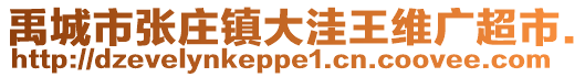禹城市張莊鎮大洼王維廣超市.