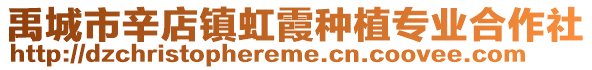 禹城市辛店鎮(zhèn)虹霞種植專業(yè)合作社