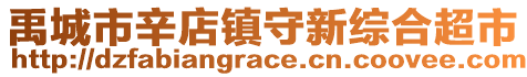禹城市辛店鎮守新綜合超市