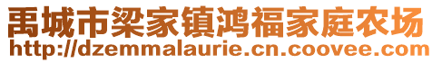 禹城市梁家鎮(zhèn)鴻福家庭農(nóng)場