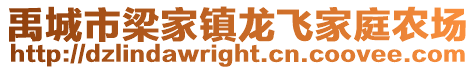 禹城市梁家鎮龍飛家庭農場