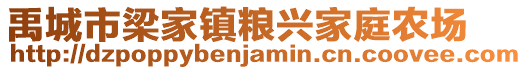 禹城市梁家鎮糧興家庭農場