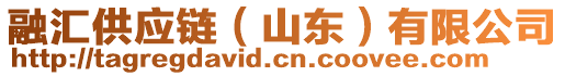 融匯供應(yīng)鏈（山東）有限公司