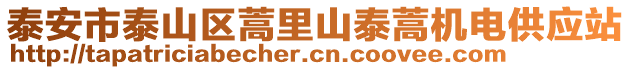 泰安市泰山區(qū)蒿里山泰蒿機電供應站