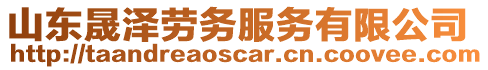 山東晟澤勞務服務有限公司