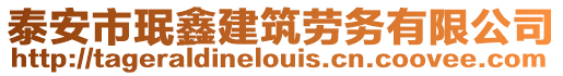 泰安市珉鑫建筑勞務有限公司