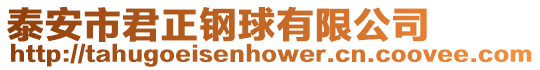 泰安市君正鋼球有限公司