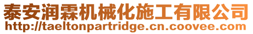 泰安潤霖機械化施工有限公司