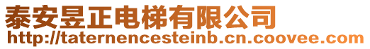 泰安昱正電梯有限公司