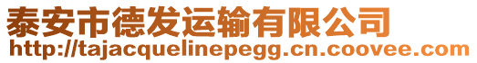泰安市德發(fā)運輸有限公司