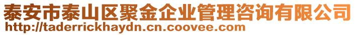泰安市泰山區聚金企業管理咨詢有限公司
