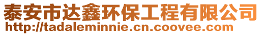 泰安市達鑫環(huán)保工程有限公司