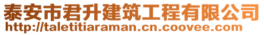 泰安市君升建筑工程有限公司