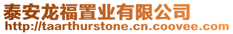 泰安龍福置業有限公司