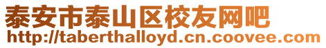 泰安市泰山區校友網吧
