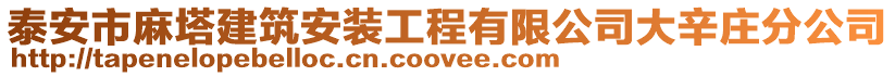 泰安市麻塔建筑安裝工程有限公司大辛莊分公司