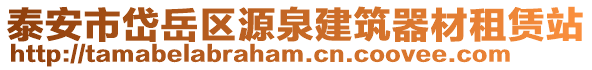 泰安市岱岳區(qū)源泉建筑器材租賃站